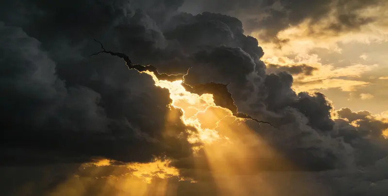 盐城肺癌靶向120基因检测（组织）图片1