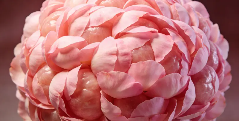 盐城BRCA1/2乳腺癌卵巢癌基因检测图片1