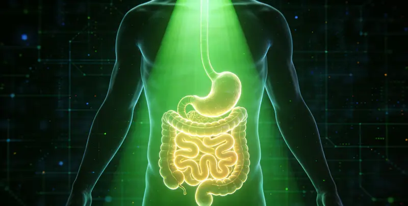 肠癌甲基化检测图2